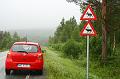 Norwegia (309)